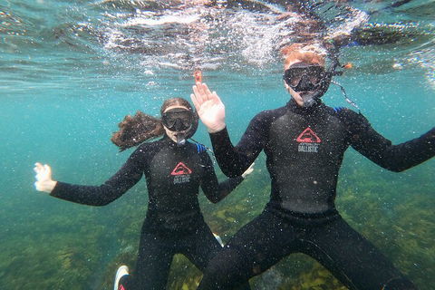 Manly Snorkel Trip And Nature Walk With Local Guide - Attractions Brisbane 3