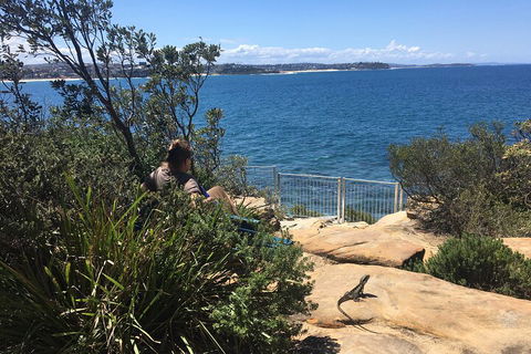 Manly Snorkel Trip And Nature Walk With Local Guide - Attractions Brisbane 4
