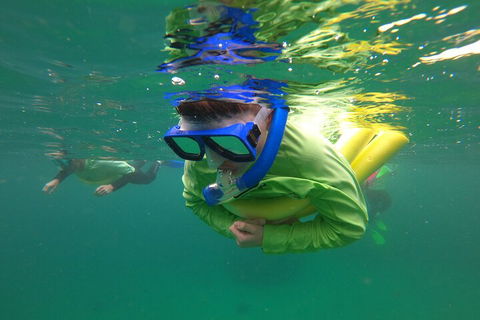 Manly Snorkel Trip And Nature Walk With Local Guide - Attractions Brisbane 5