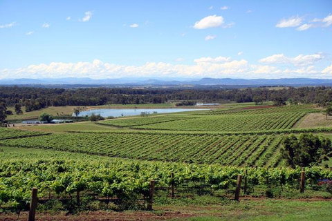 Private Hunter Valley Wine-Tasting Day Tour From Sydney - Attractions Brisbane 0
