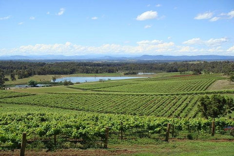 Private Hunter Valley Wine-Tasting Day Tour From Sydney - Attractions Brisbane 1
