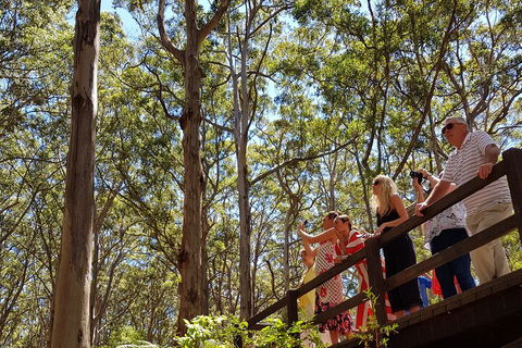 The All About Margaret River Tour: Wine, Coffee, Lunch And Forest - Attractions Brisbane 3