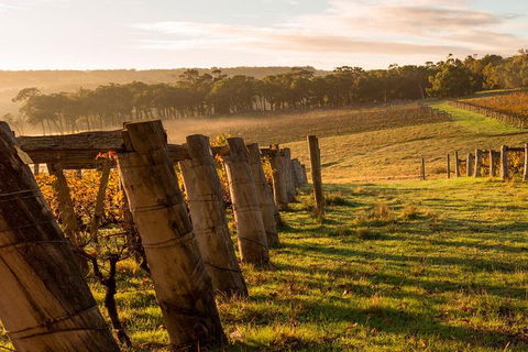 The All About Margaret River Tour: Wine, Coffee, Lunch And Forest - Attractions Brisbane 5