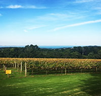 Yarra Valley Private Car Winery Tour And Chocolate.1-7 Passengers One Car Price - Attractions Brisbane