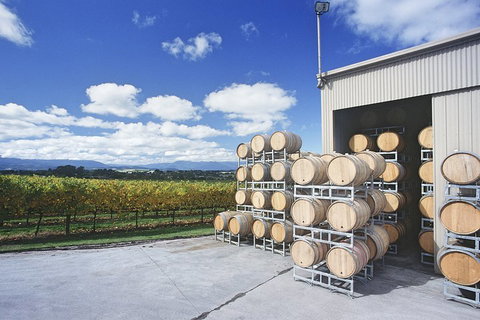 Yarra Valley Private Car Winery Tour And Chocolate.1-7 Passengers One Car Price - Attractions Brisbane 2