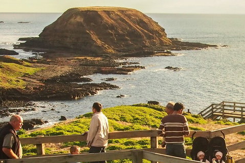 Healesville Sanctuary And Phillip Island Wildlife Bus Tour - Attractions Brisbane 3