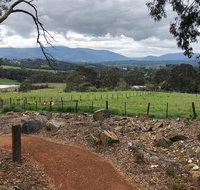 Yarra Valley Wine Tour inc lunch with a glass of wine tastings and chocolate - Attractions Brisbane