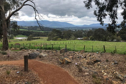 Yarra Valley Wine Tour Inc Lunch With A Glass Of Wine, Tastings And Chocolate - Attractions Brisbane 0