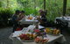 4-Day Cairns Ultimate Combo: Daintree Rainforest, Reef, Kuranda & Paronella Park - thumb 4