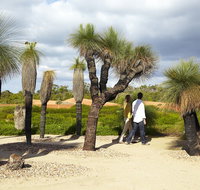 1 Day Exclusively Private Tour Of Phillip Island  The Penguin Parade - Attractions Brisbane