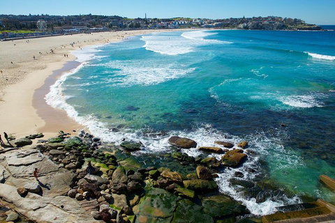 Private Sydney Foreshores And Beaches SUV Tour - Attractions Brisbane 0