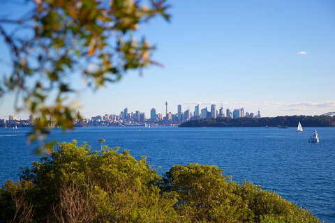 Private Sydney Foreshores And Beaches SUV Tour - Attractions Brisbane 5