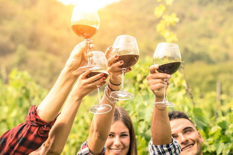 Barossa Valley Cellar Doors Luxury Wine Tour - Attractions Brisbane 1