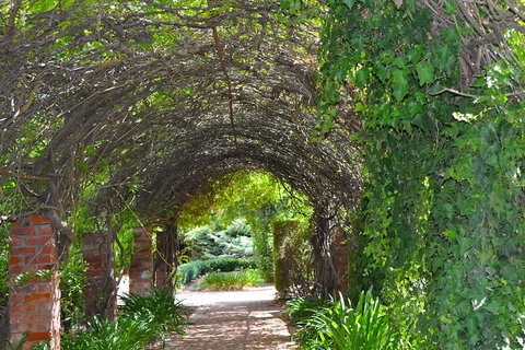 Barossa Valley Cellar Doors Luxury Wine Tour - Attractions Brisbane 3