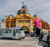 Melbourne. Laneways and Alleyways - Attractions Brisbane