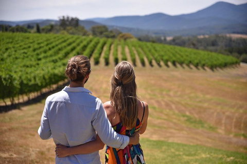 Yarra Valley Wine, Bubbles And Gin Tour! - Attractions Brisbane 4