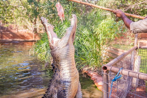 Malcolm Douglas Crocodile Park Tour Including Transportation - Attractions Brisbane 5