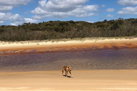 Pippies 3 Days 2 Nights Fraser Island Tour - Attractions Brisbane 2