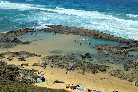Pippies 3 Days 2 Nights Fraser Island Tour - Attractions Brisbane 5