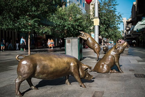 Guided Walking Tour In Adelaide - Attractions Brisbane 4