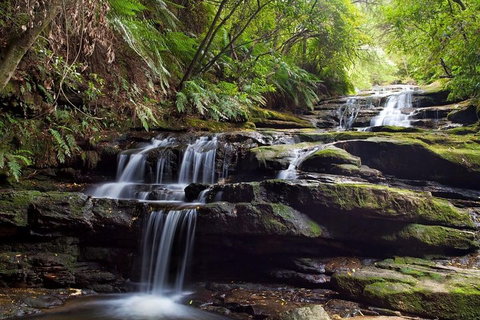Private All Blue Mountains Day Tour - Attractions Brisbane 1