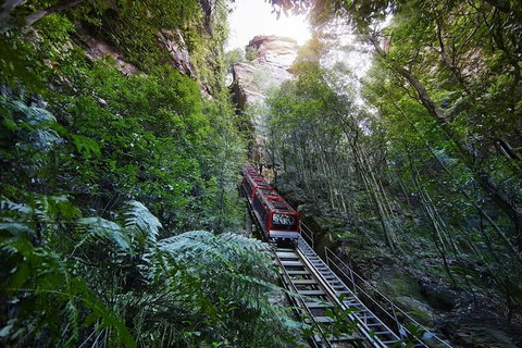 Private All Blue Mountains Day Tour - Attractions Brisbane 3