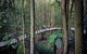 Private All Blue Mountains Day Tour - thumb 4