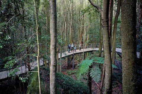 Private All Blue Mountains Day Tour - Attractions Brisbane 4