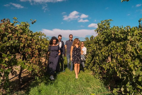 Barossa Valley Private Tour (from 2 To 11 People) - Attractions Brisbane 0
