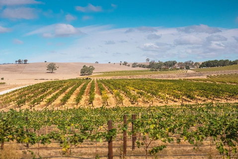 Barossa Valley Private Tour (from 2 To 11 People) - Attractions Brisbane 2