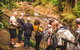 Full-day Springbrook National Park Tour From The Gold Coast - thumb 0