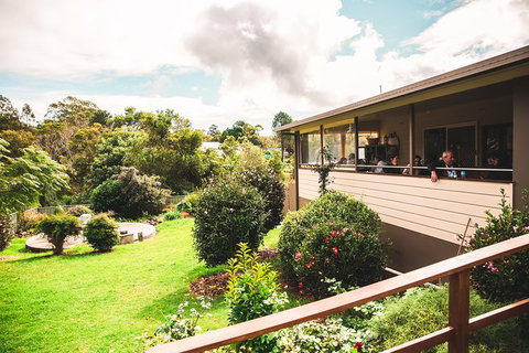 Full-day Springbrook National Park Tour From The Gold Coast - Attractions Brisbane 2