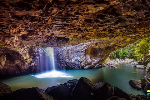 Full-day Springbrook National Park Tour From The Gold Coast - Attractions Brisbane 3