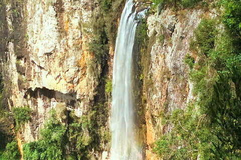 Natural Arch, Rainforest & Volcano Canyon - Private Half Day Tour - Attractions Brisbane 2