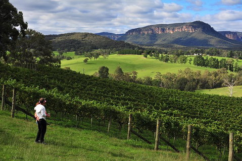 Private Blue Mountains And Winery Day-Trip From Sydney - Attractions Brisbane 2