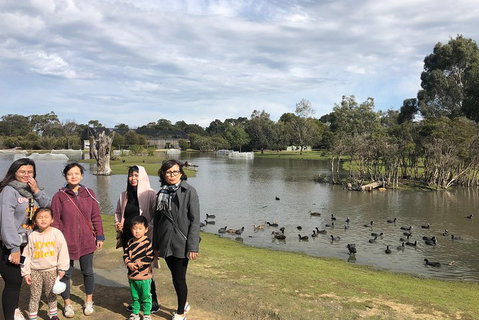Phillip Island Penguins Private Tour - Attractions Brisbane 1