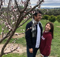 Private Yarra Valley And Puffing Billy Tour - Attractions Brisbane