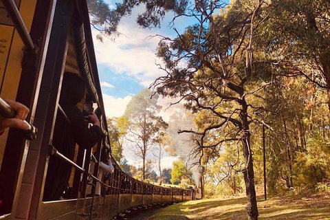 Private Yarra Valley And Puffing Billy Tour - Attractions Brisbane 1