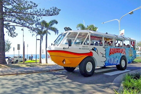 Aquaduck Sunshine Coast - Attractions Brisbane 1