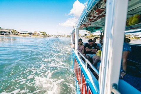 Aquaduck Sunshine Coast - Attractions Brisbane 5