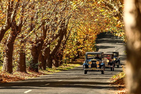 Blue Mountains Vintage Cadillac Tour With Local Guide - Attractions Brisbane 1