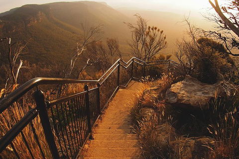 Blue Mountains Vintage Cadillac Tour With Local Guide - Attractions Brisbane 3