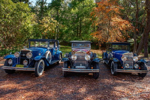 Blue Mountains Vintage Cadillac Tour With Local Guide - Attractions Brisbane 4