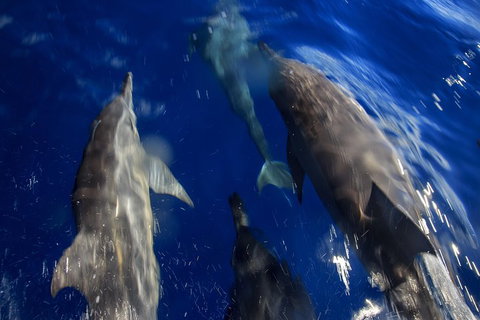 1.5HR Mudjimba Island Wildlife Safari - Attractions Brisbane 3