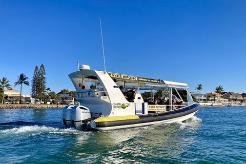 1.5HR Mudjimba Island Wildlife Safari - Attractions Brisbane 4