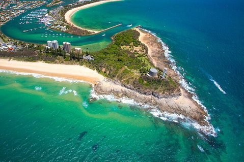 1.5HR Mudjimba Island Wildlife Safari - Attractions Brisbane 5
