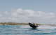 Adventure Rafting - thumb 3