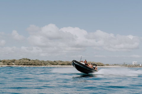 Adventure Rafting - Attractions Brisbane 3