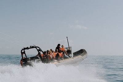 Adventure Whale Watching Tour Mooloolaba