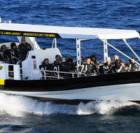Mooloolaba Whale Watching Tour - Attractions Brisbane